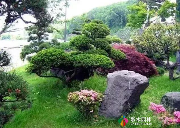 园林景观设计中花境植物配置