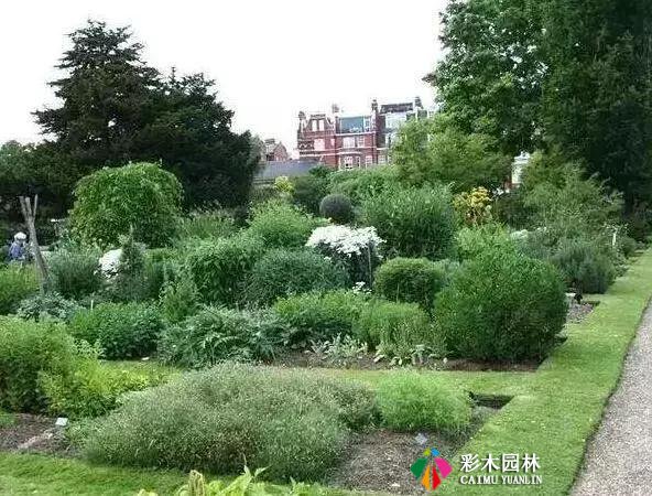 园林景观设计中花境植物配置