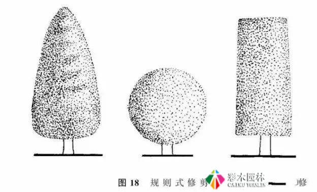 园林景观工程的乔木、灌木、藤本植物养护技术