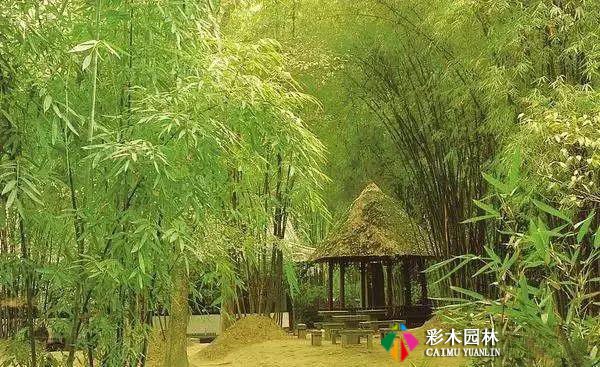 中式园林景观植物造景