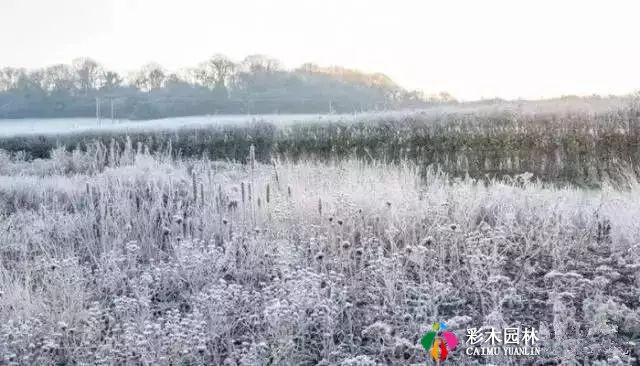 园林景观草境设计