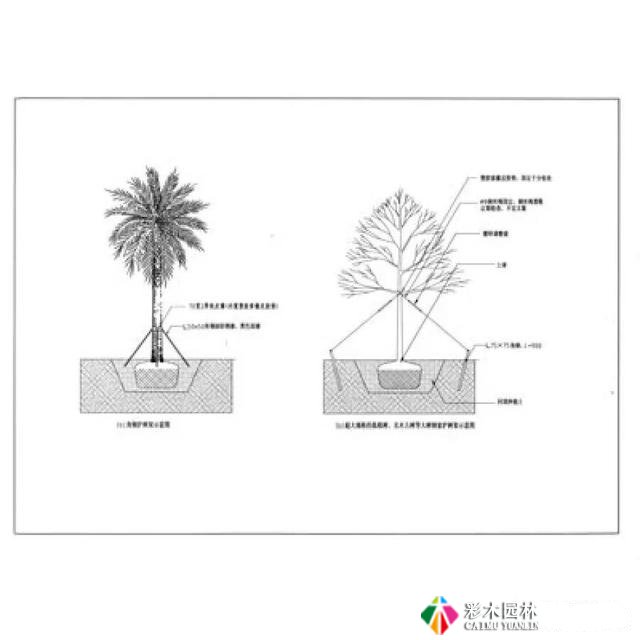 园林景观工程设计