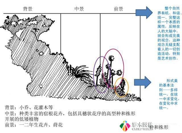 花境营造园林景观美