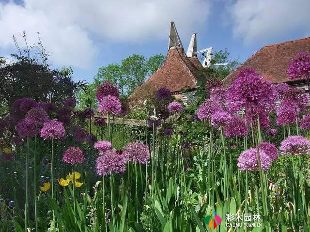 花境营造园林景观美