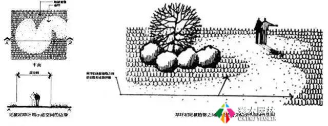 园林景观植物空间造景