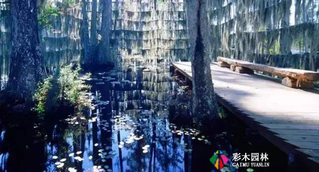 园林景观植物空间造景