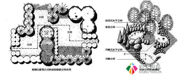 园林景观植物空间造景