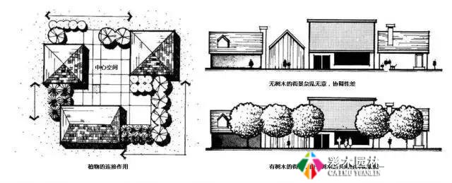 园林景观植物空间造景