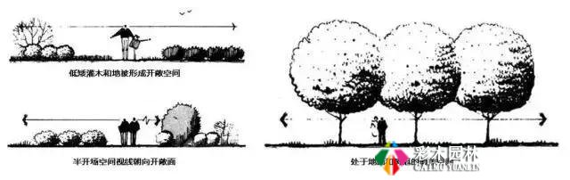 园林景观植物空间造景