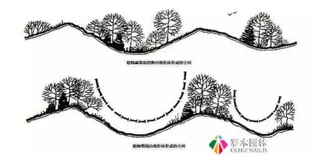 园林景观植物空间造景