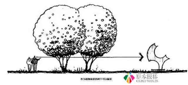 园林景观植物空间造景