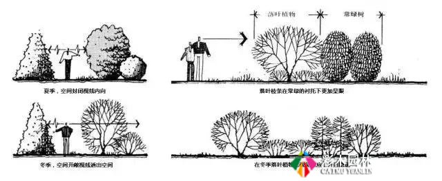 园林景观植物空间造景