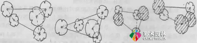 园林植物栽植形式