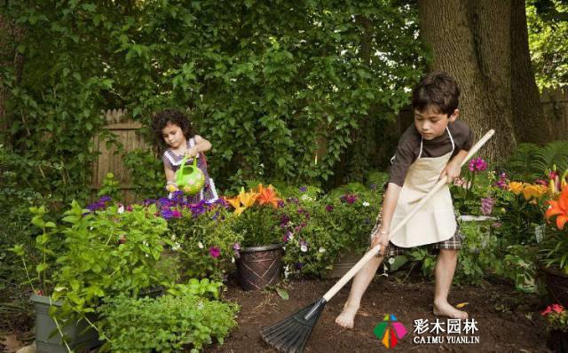 亲子农业，植物景观设计要点